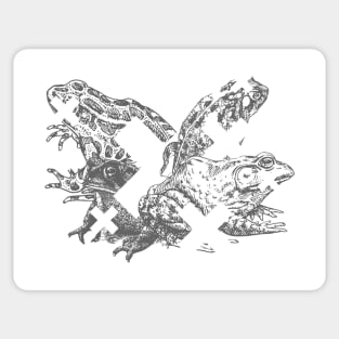 Frog Mess Sticker